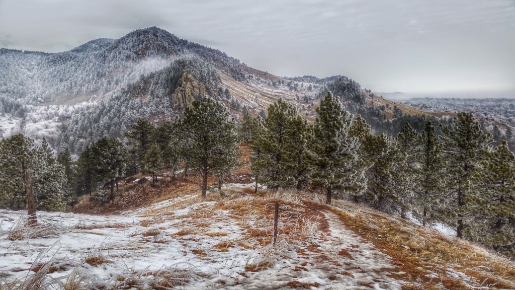 Hoar frost on wintery Boulder morning trails